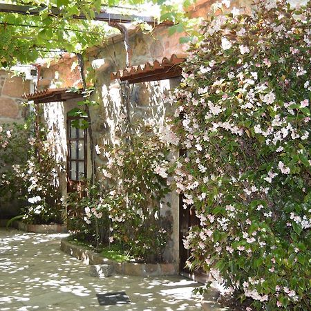 Гостьовий будинок Casa Loureiro Кальдас-де-Рейс Екстер'єр фото